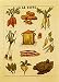 Soupe Fine Art Print / Poster 4.00 x 6.00 in.