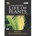 David Attenborough - The Private Life of Plants [Import anglais]