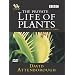 The Private Life Of Plants