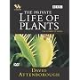 The Private Life Of Plants