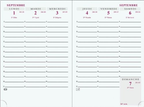 Exacompta - Agenda Scolaire 10 x 15 - 2010 / 2011 -AGORA Winner 1 semaine / 2 pages - Coloris variable