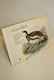 Game birds : ... colour prints of European game birds with introduction and full individual descriptions