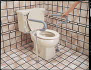 Guardian Toilet Safety Frame - 1 ea