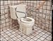 Guardian Toilet Safety Frame - 1 ea