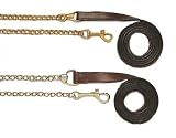 Royal King 3/4 Leather Lead with Chain