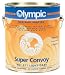 Sporting Goods : Olympic Super Convoy Slip Resistant Deck Coatings