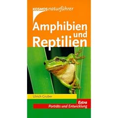 Amphibien und Reptilien: Extra: Portr�ts und Entwicklung