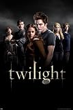 Twilight - Group - Art Print - Poster