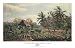 Art Poster Print - Paisaje con Malangas y Cocoteros - Artist: Valentin Sanz Carta - P...