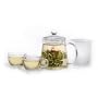 Teaposy Garden Gift Set