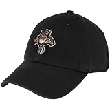'47 Brand Florida Panthers Black Franchise Fitted Hat (Large)