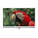 Macaw Parrot Business Card Holder Case