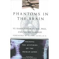 Phantoms in the Brain