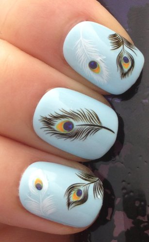 NAIL ART WRAP WATER TRANSFER DECALS PEACOCK EYE BLACK & WHITE FEATHERS #79