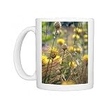 Yellow knapweed (Centaurea macrocephala) Photo Mugs