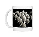 Image taken with a Holga medium format 120 film toy camera of freshly-caught Photo Mugs