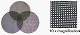 180 Grit 18" Virginia Abrasives Mesh screen Disc, Box of 10