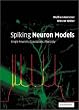 Spiking Neuron Models