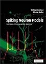 Spiking Neuron Models
