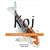 Koi: A Handbook to Keeping Nishikigoi