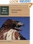 Wild Bird Guide: Red-Tailed Hawk (Wild Bird Guides)