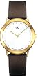 Calvin Klein Women's Brown leather strap Minimal New Watch