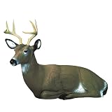 Delta Bedded Maxim Whitetail Buck 3D Target