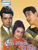 Ayee Milan Ki Bela [DVD] [1991]