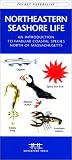 Northeastern Seashore Life: Labrador to Massachusetts (Pocket Naturalist)