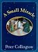Books : A Small Miracle