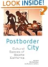 Postborder City: Cultural Spaces of Bajalta California