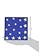 Entertaining with Caspari Stars and Stripes Paper Luncheon Napkins, Pack of 20