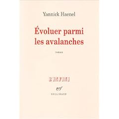 Evoluer parmi les avalanches