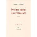 Evoluer parmi les avalanches