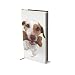 Jack Russell Terriers 2010 Hardcover Slim Diary