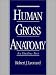 Human Gross Anatomy: An Outline Text