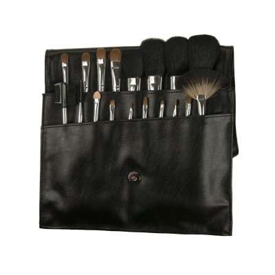Blush Professional 12teilig Kosmetik Make-up Pinsel Brush Set with Shoulder Bag Preisvergleich