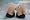 The Pet Head Stress Reliever - Office Desktop Toy - Squishy Novelty Friend!