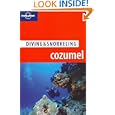 Lonely Planet Diving and Snorkeling Cozumel (Lonely Planet Diving and Snorkeling Guides) by George Lewbel and Larry R Martin