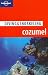 Book Lonely Planet Diving & Snorkeling Cozumel (Lonely Planet Diving and Snorkeling Guides)