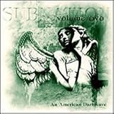 American Dark Wave Vol. 2 FEATURING: Pain Emission, Regenerator, Cruciform, Eleven Shadows, The New York Room, Million Year Picnic, Lycia, Babylonian Files, Sleeping Pills, Silent Order, Wreckage, Sunshine Blind, Stone 588, Trance To The Sun, The Unquiet Void