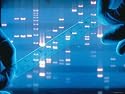 DNA Fingerprinting Closeup Electrophoresis Photographic Poster Print, 16x12