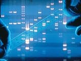 DNA Fingerprinting Closeup Electrophoresis Photographic Poster Print, 24x18