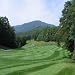 Princess Bermuda Grass Seed - 2 LBS Princess Bermuda Grass Seed - 2 LBS
