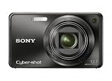 Sony Cyber-shot DSC-W290 12.1 MP Digital Camera with 5x Optical Zoom and Super Steady Shot Image Stabilization (Black)