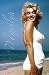 Marilyn Monroe Categories Poster Print, 22x34