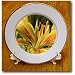 Yellow Lily - may birth flower, birth flower, lily, lilies, lilium, flowering plants, plants - 8 Inch Porcelain Plate