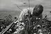 Classic Cotton Films DVD: 1920s - 1950s Cotton Industry, Mill, Gin, Plant, Farming, Plantation, Fiel