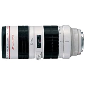 Canon EF 70-200mm f/4.0 L USM Lens
