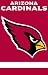 AFAZ Arizona 44x28 Applique Banner Banner Flags NCAA